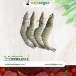 Udang Vaname