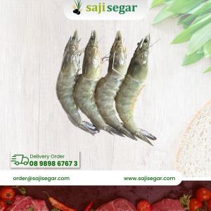 Udang Vaname