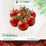 Tomat Merah Besar