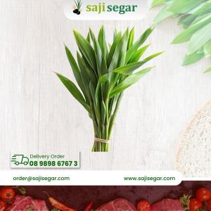 Daun pandan / ikat