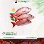 Red Snapper Fish Head - Kepala Ikan Kakap Merah Segar / Beku - Ikan Laut - 1 pcs (1 Belah)
