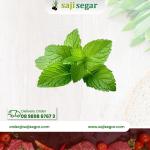 Daun mint / 1pack