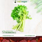 Daun parsely(peterseli) / 1pack