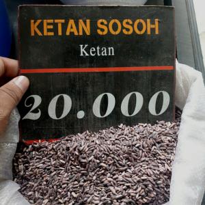 beras ketan hitam sosoh 20.000/lier