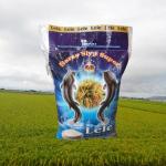 BERAS ROJOLELE SPESIAL 25 KG