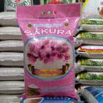 Produsen Beras Untuk Kafe di jakarta pusat