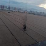 jasa waterproofing membran bakar gedung bogor
