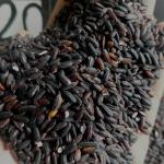 Produsen Beras Custom Kemasan di cianjur