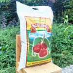Beras 10kg BMW Rojolele Standar Premium Super Premium (Agen Beras) - Tiga Jambu