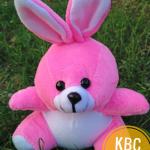 Produsen boneka souvenir wisuda di depok