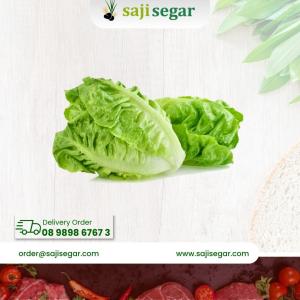 Selada Romaine / 100gram