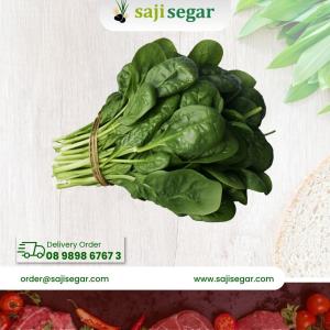 Daun basil / 1pack