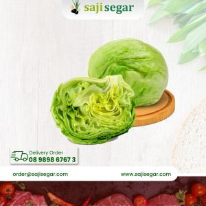 Selada Letus / 100gram