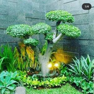 terima jasa pembuatan taman mungil