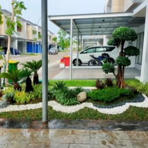 Taman rumah minimalis jasa taman
